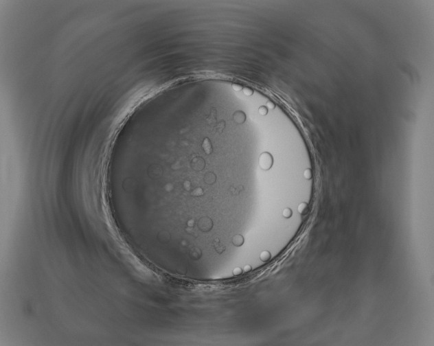 X0000112530145200909281045