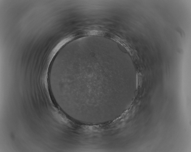 X0000112530147200909281045