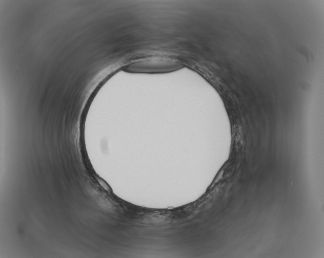 X0000112530148200909281045