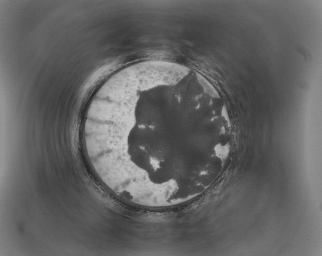 X0000112530149200909281045