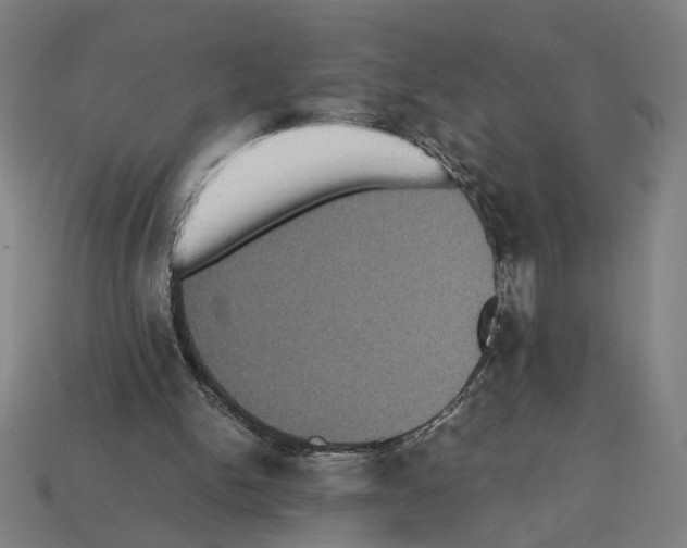 X0000112530150200909281045