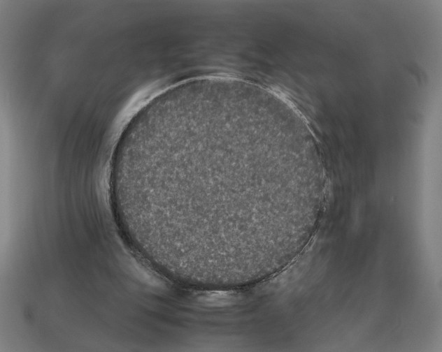 X0000112530151200909281045