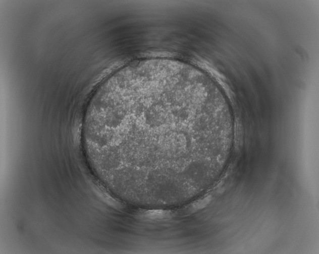 X0000112530153200909281046