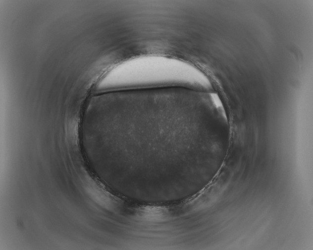 X0000112530154200909281046