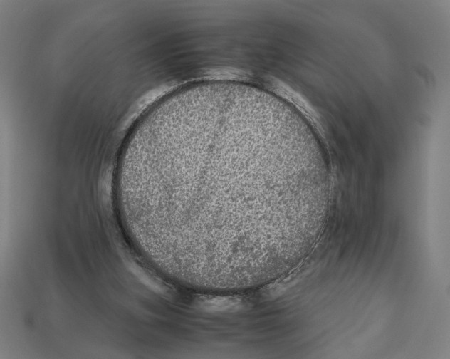 X0000112530155200909281046