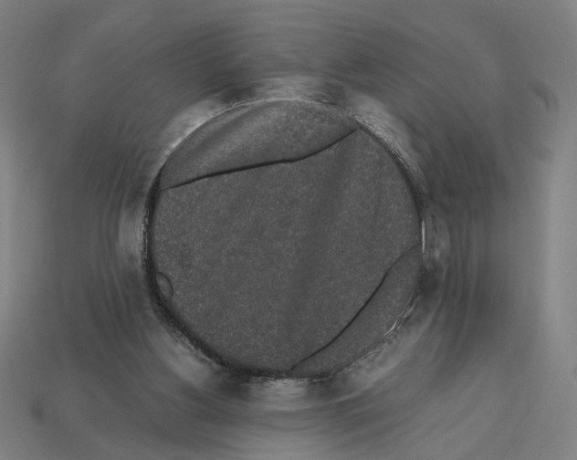 X0000112530156200909281046