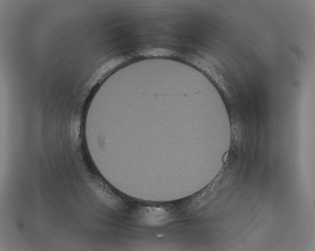 X0000112530159200909281046