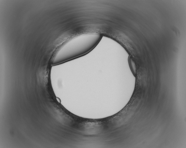 X0000112530160200909281046