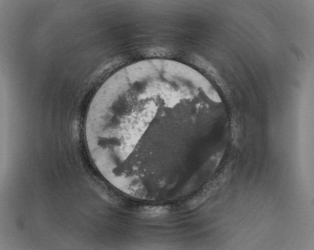 X0000112530161200909281046