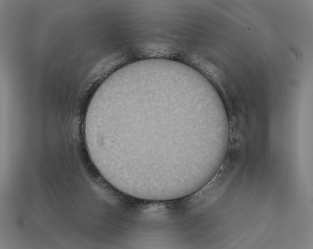 X0000112530162200909281046