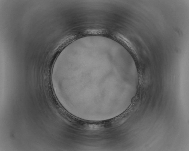 X0000112530163200909281046