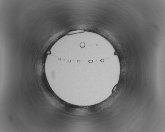 X0000112530164200909281046