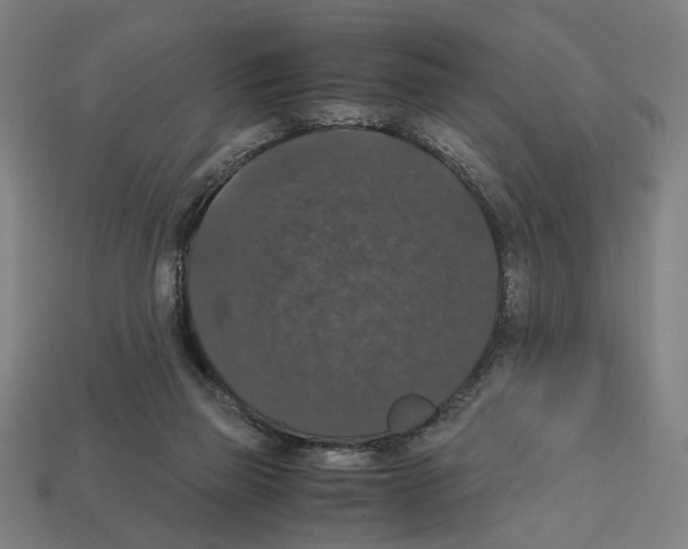 X0000112530165200909281046