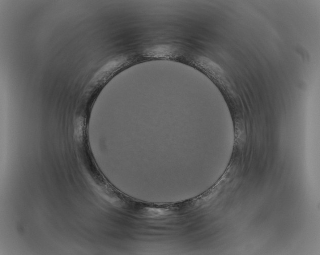 X0000112530167200909281046