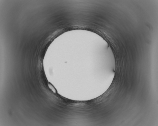 X0000112530168200909281046