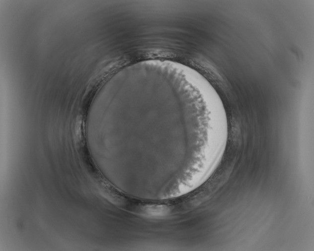 X0000112530169200909281046