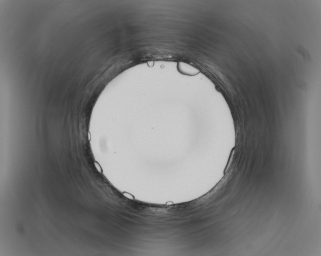 X0000112530170200909281046