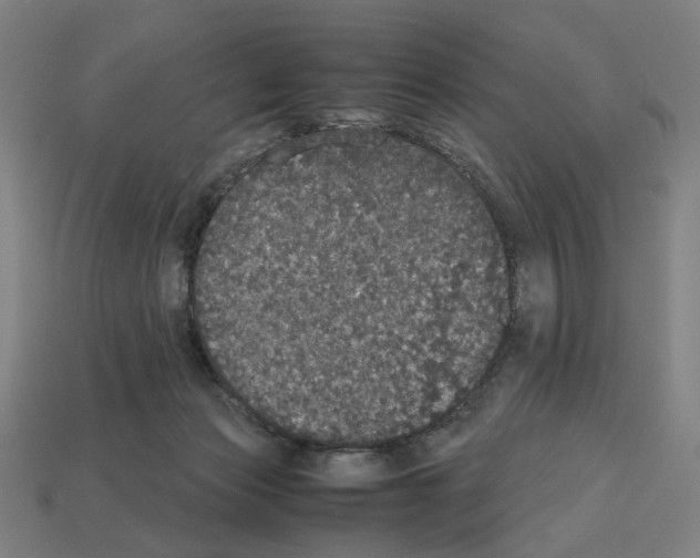 X0000112530173200909281046