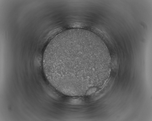 X0000112530175200909281046