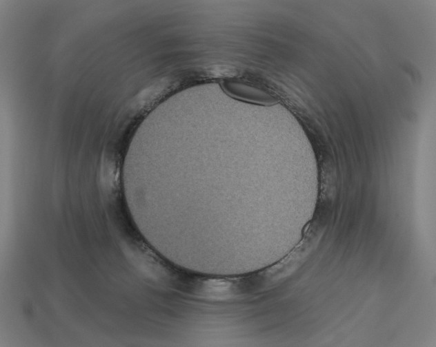 X0000112530176200909281046