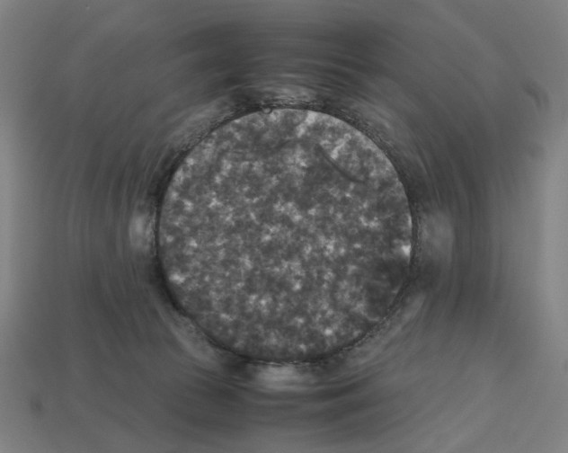 X0000112530177200909281046