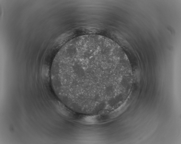 X0000112530178200909281046