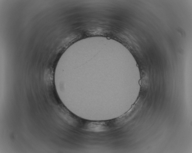 X0000112530179200909281046