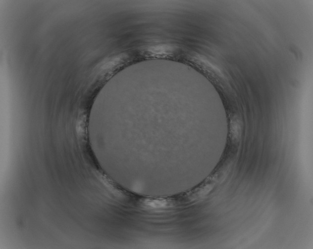 X0000112530181200909281046