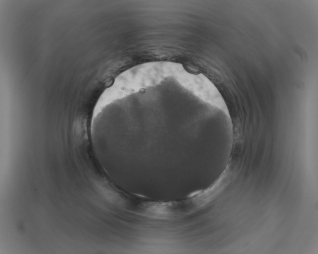 X0000112530182200909281046