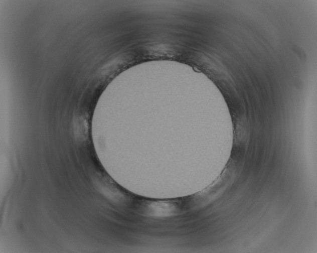 X0000112530183200909281046