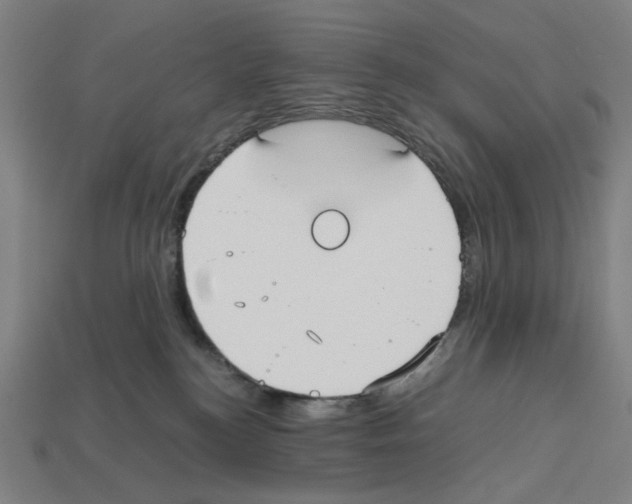 X0000112530184200909281046