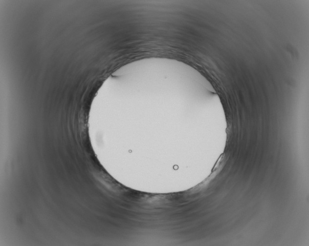 X0000112530186200909281046