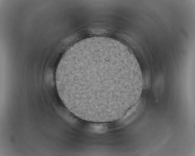 X0000112530187200909281046