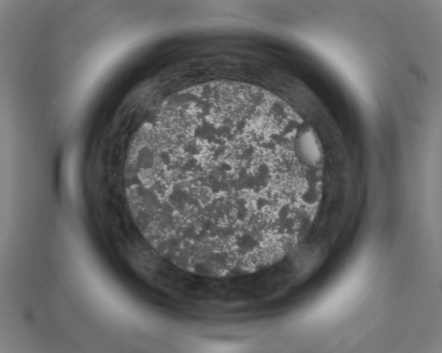 X0000112530189200909281046