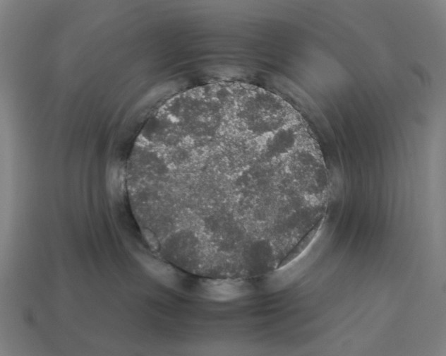 X0000112530191200909281046