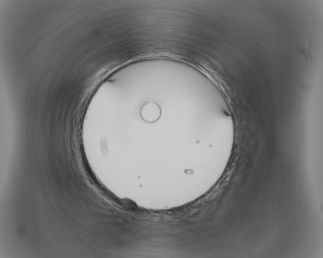 X0000112530193200909281045