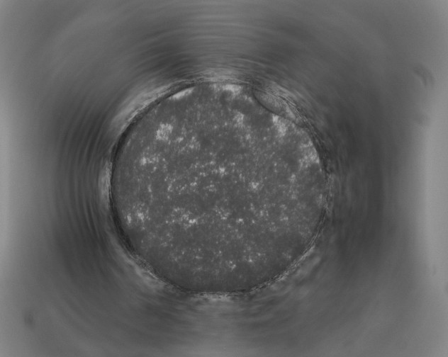 X0000112530194200909281045