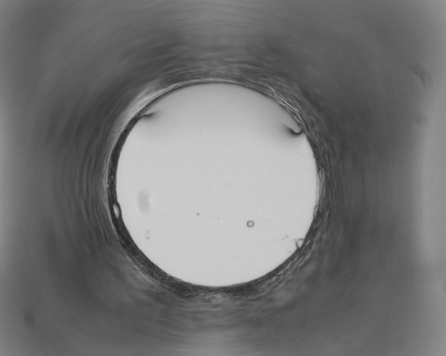 X0000112530195200909281045