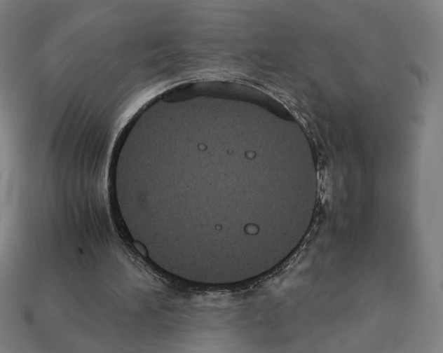 X0000112530196200909281045