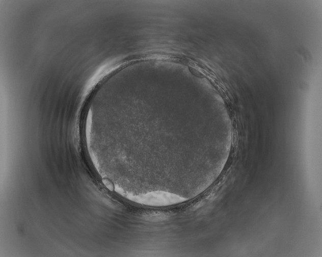 X0000112530198200909281045