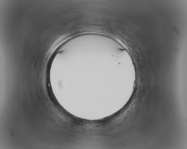 X0000112530199200909281045