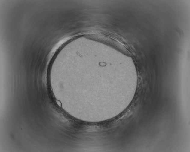 X0000112530200200909281045