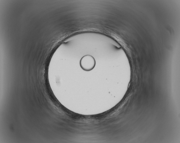 X0000112530201200909281045