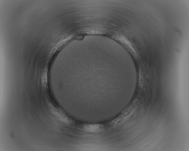 X0000112530202200909281045