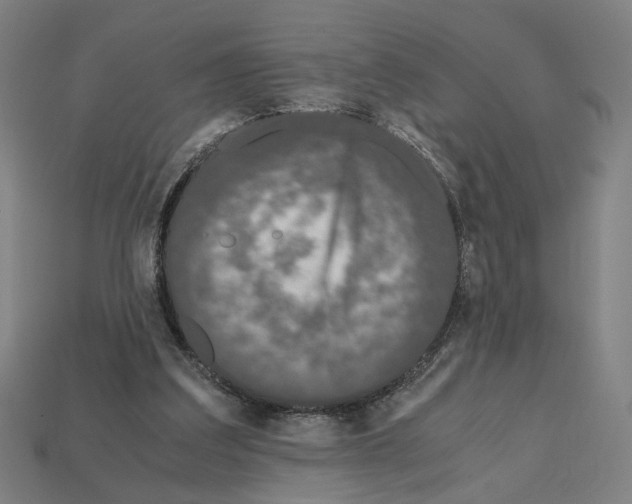 X0000112530203200909281045