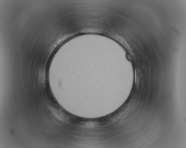 X0000112530204200909281045