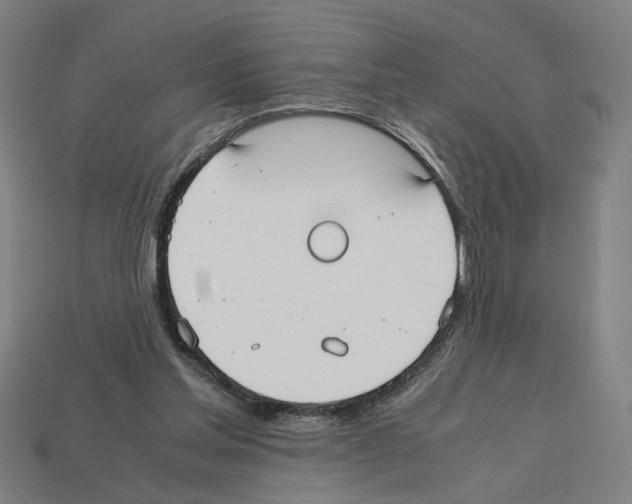 X0000112530205200909281045