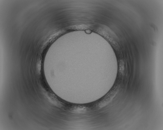 X0000112530206200909281045