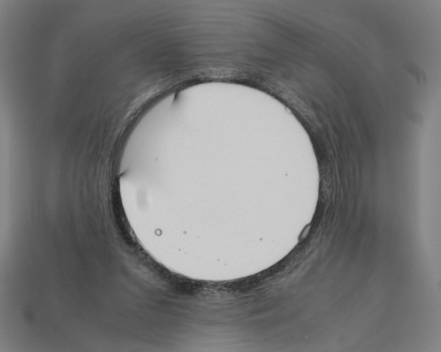 X0000112530207200909281045