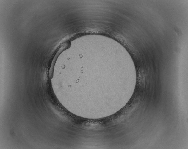 X0000112530208200909281045